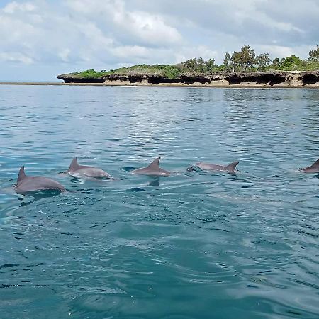 Апартаменты Wasini Raha Snorkeling And Diving Экстерьер фото
